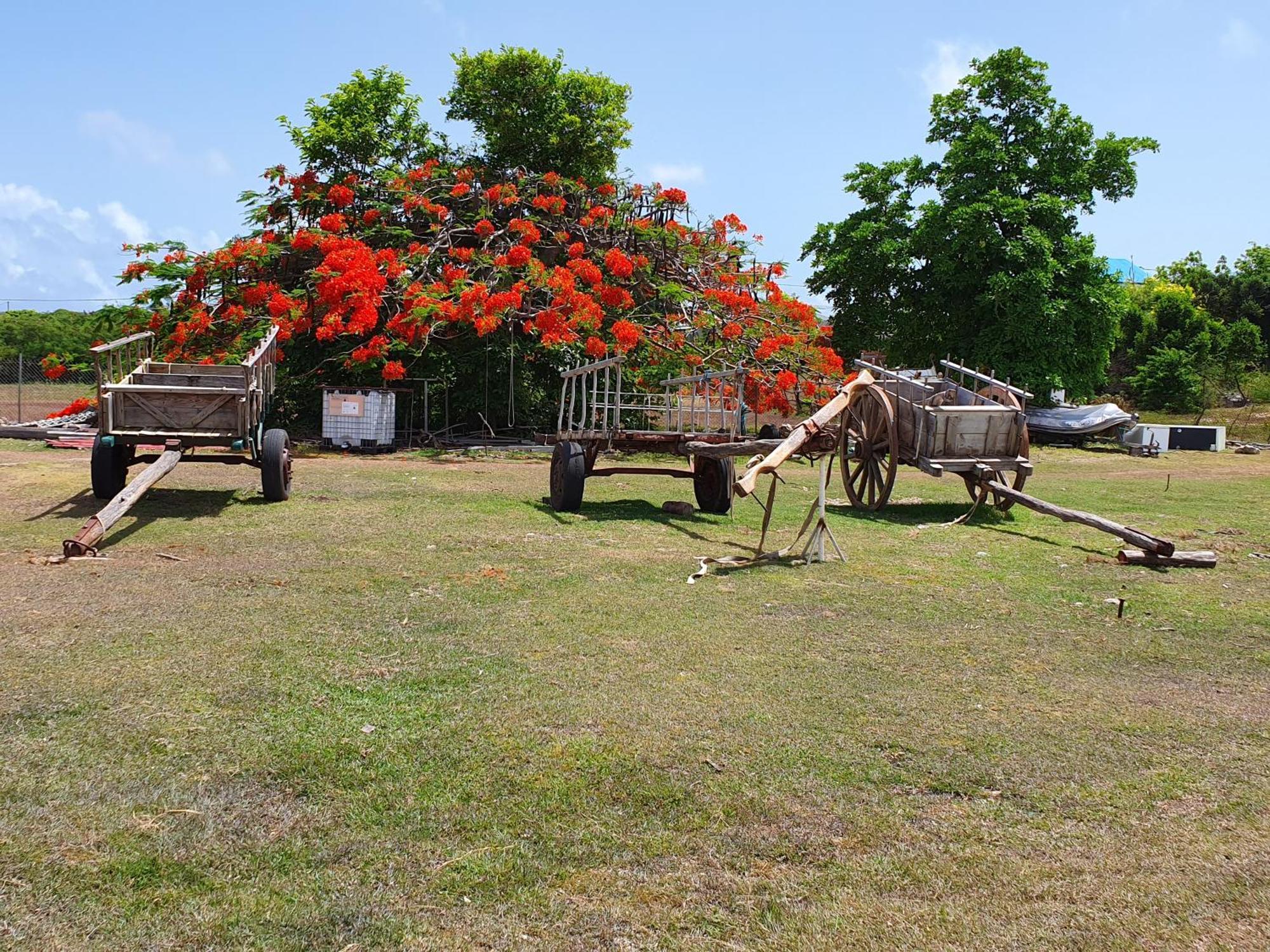 Villa Aichy Rabi Dış mekan fotoğraf
